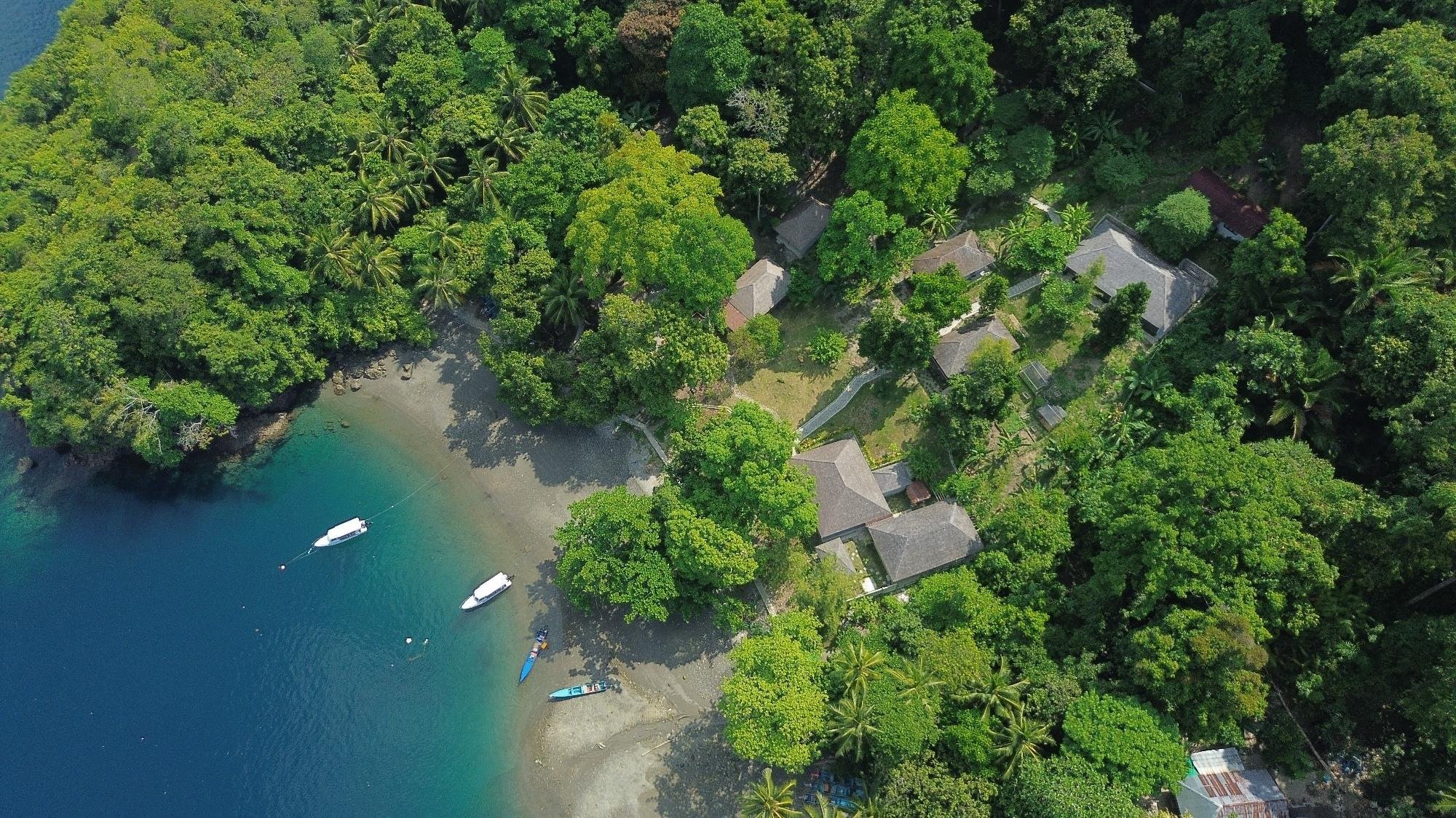 Ambon dive resort