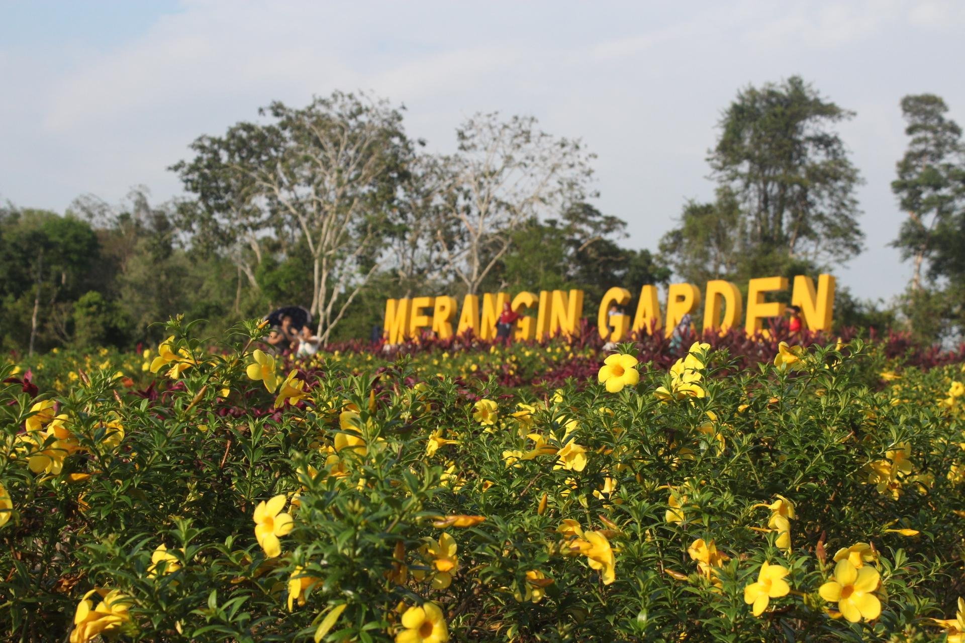 Bangko - Merangin Garden