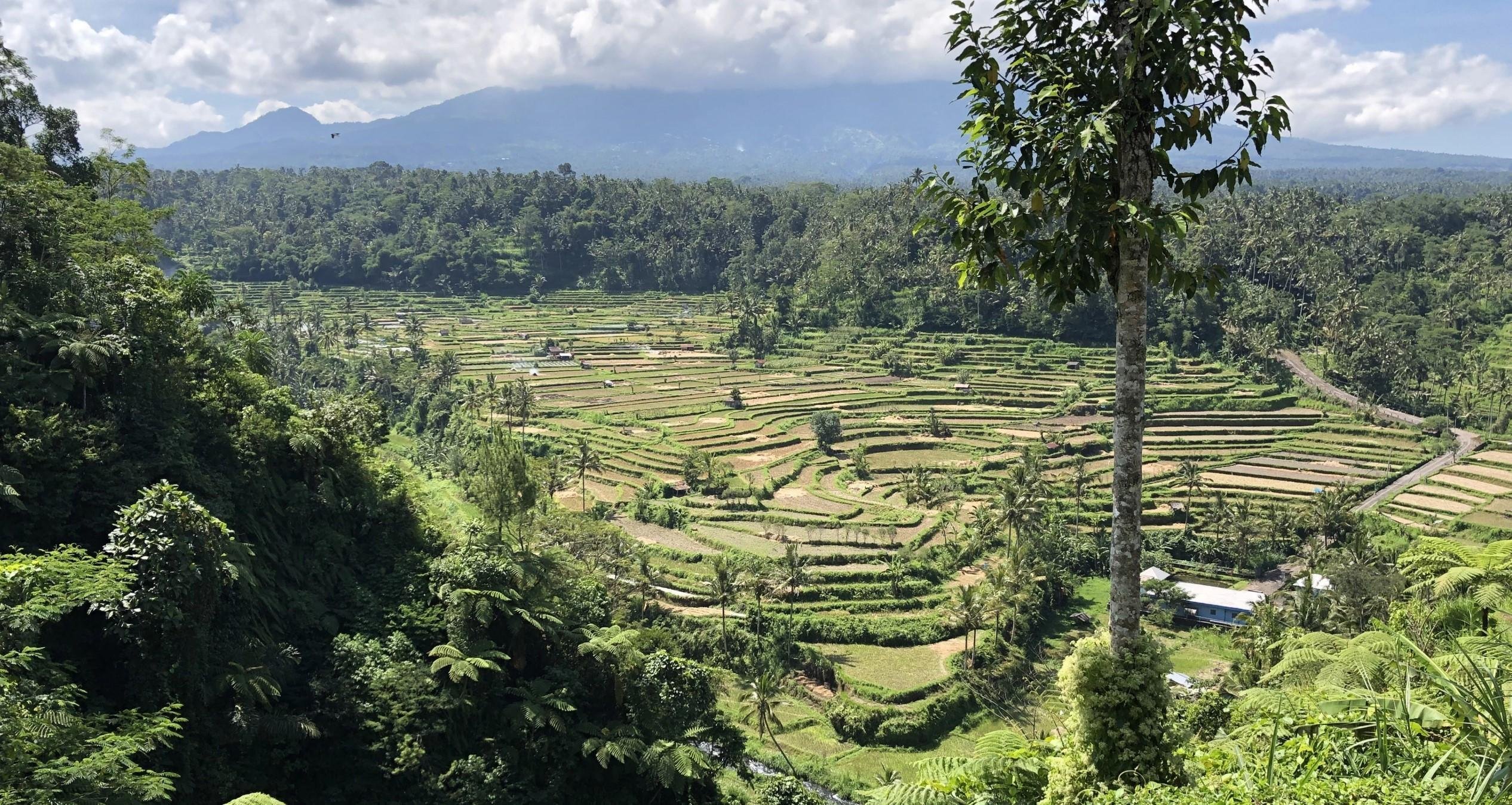 Rendang - Karangasem