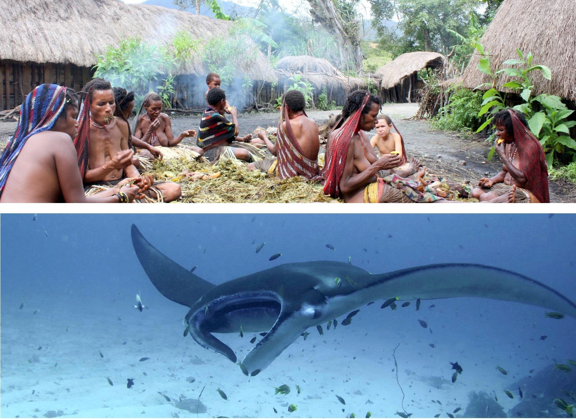 Online bestellen: Rondreis 16 dagen Avontuurlijk Papua - Baliem vallei en duiken bij Raja Ampat