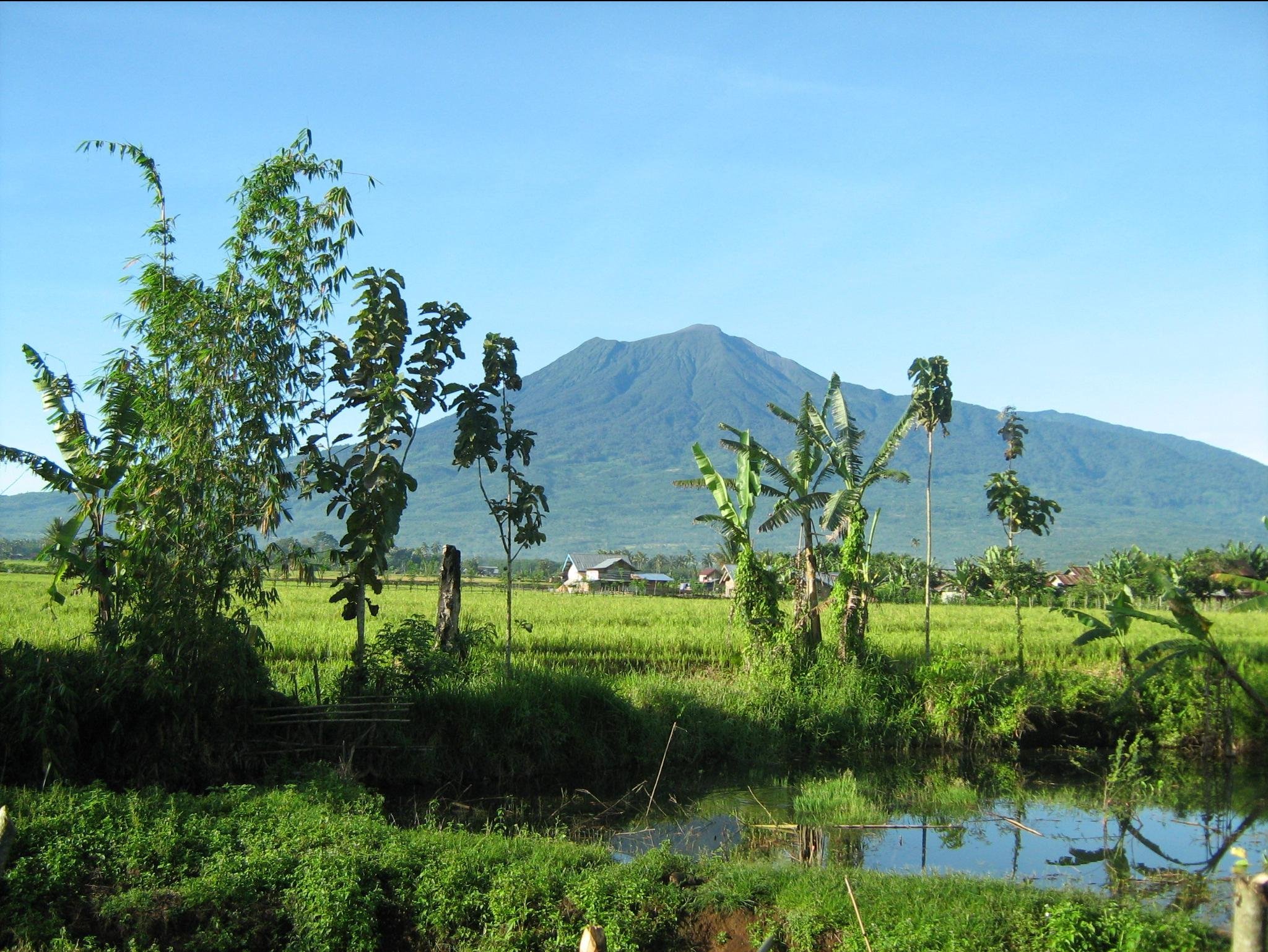 Pagar Alam - Gunung Dempo