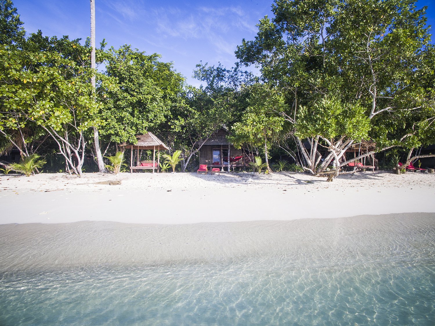 Raja Ampat Biodiversity