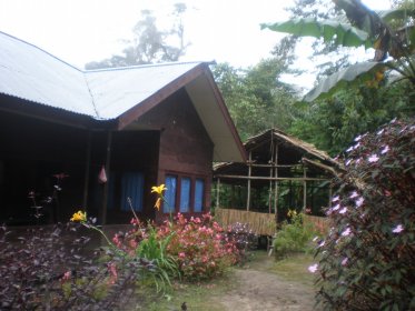 Arfak jungle lodge