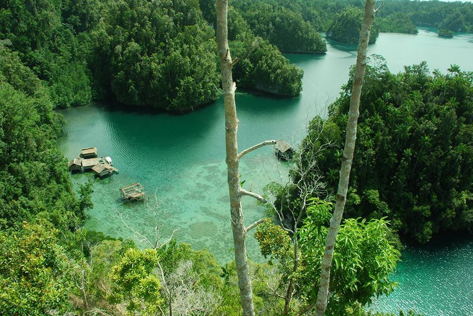 Online bestellen: Bouwsteen 6 dagen island hoppen en duiken of snorkelen Raja Ampat Safari