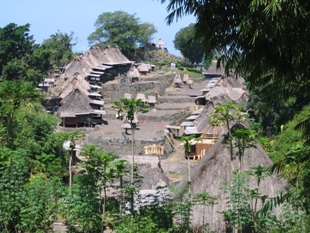 Traditioneel dorpje Ngada bij Bajawa, Flores