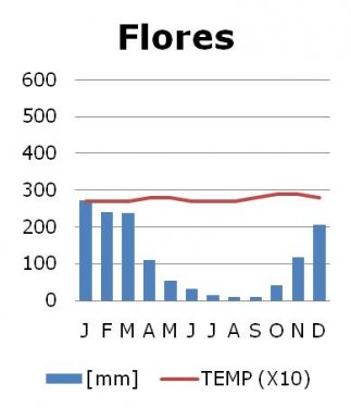 Klimaat Flores