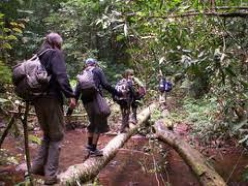 Laos.Luang Namtha trekking