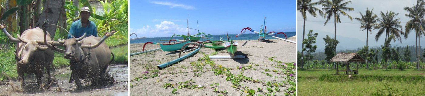 Vakantie Indonesië