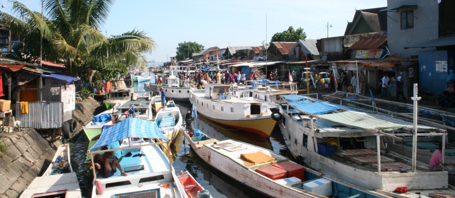 Rondreis 16 dagen Verrassend zuid Sulawesi en cultureel