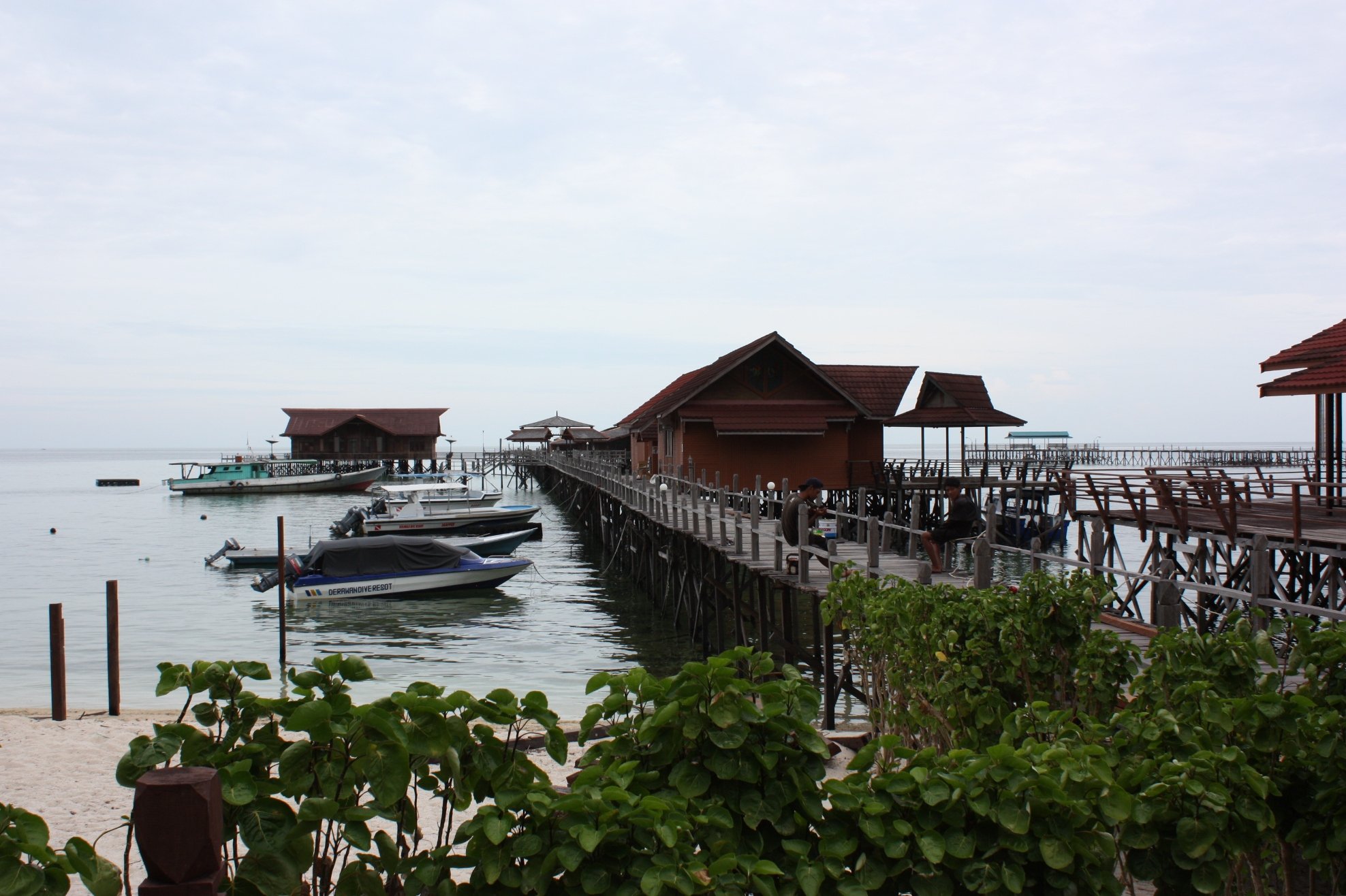 Derawan Dive resort 