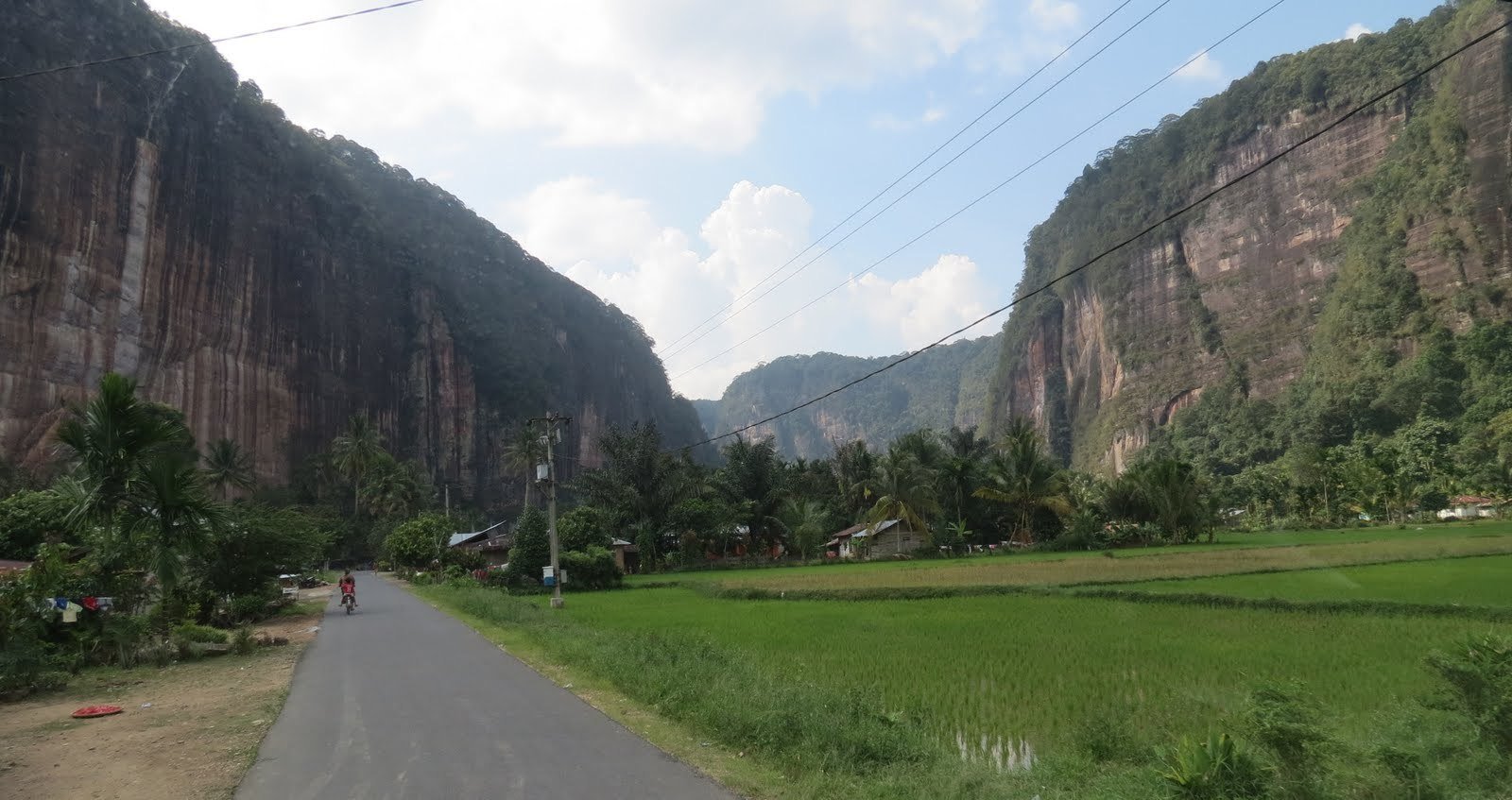 Harau