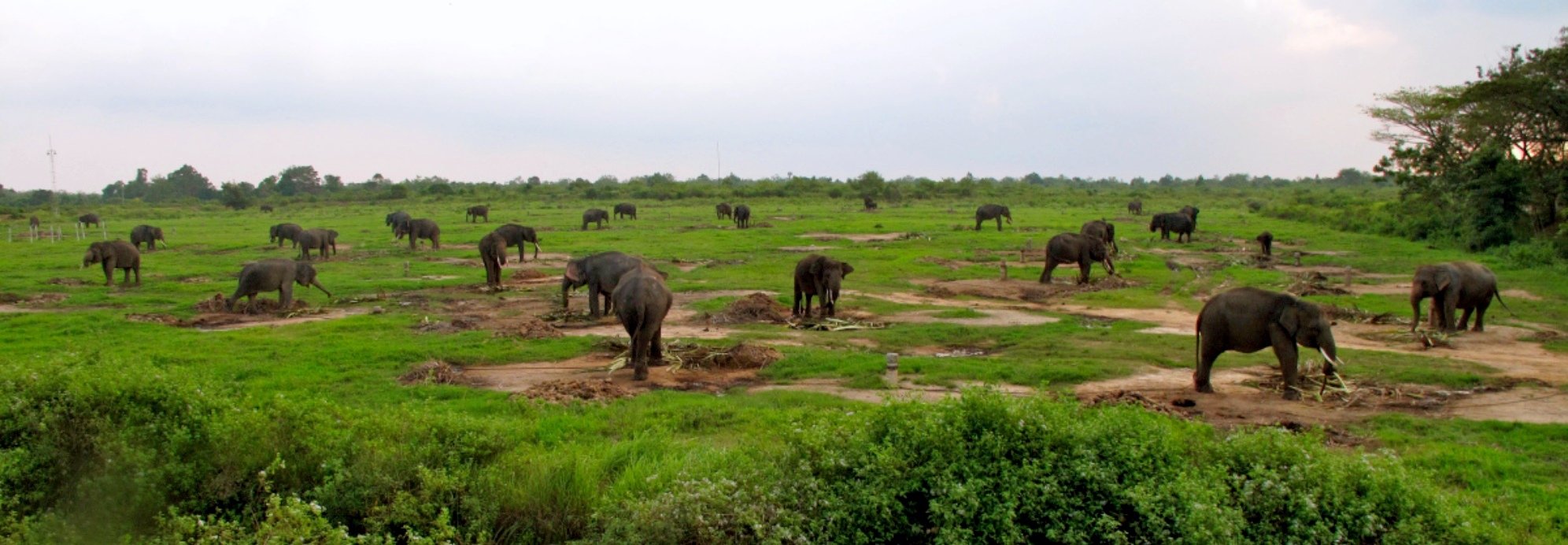 Bouwsteen 5 dagen natuur Way Kambas zuid Sumatra