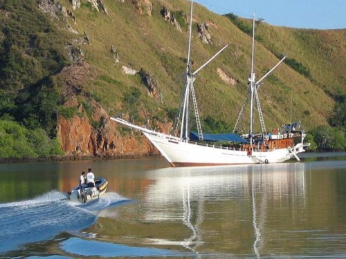 Cruises indonesie