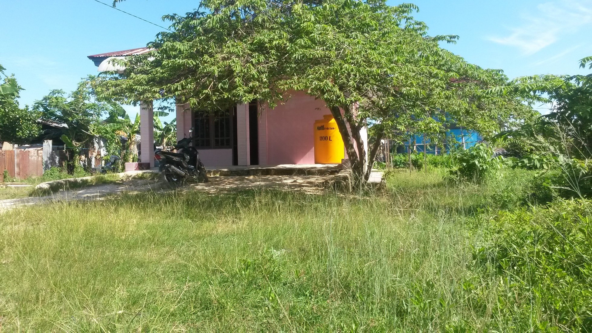 Malanu