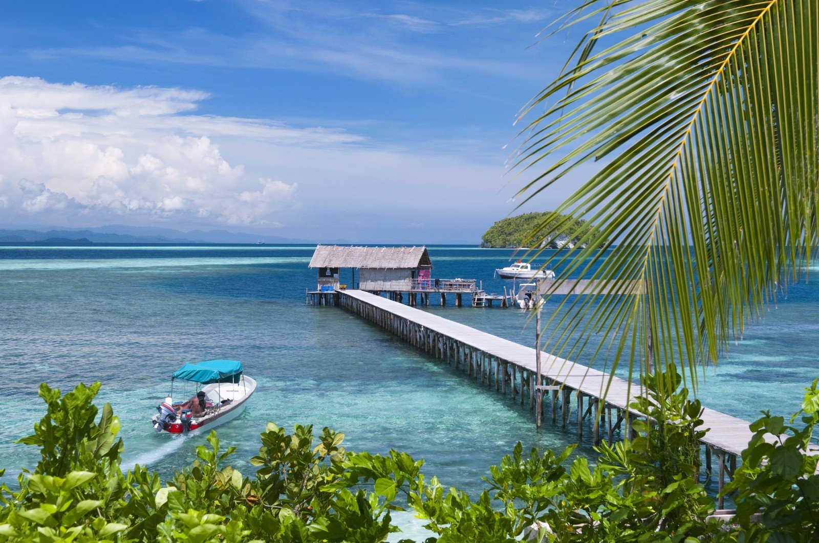 Bouwsteen 8 dagen duiken Sorido Bay Raja Ampat