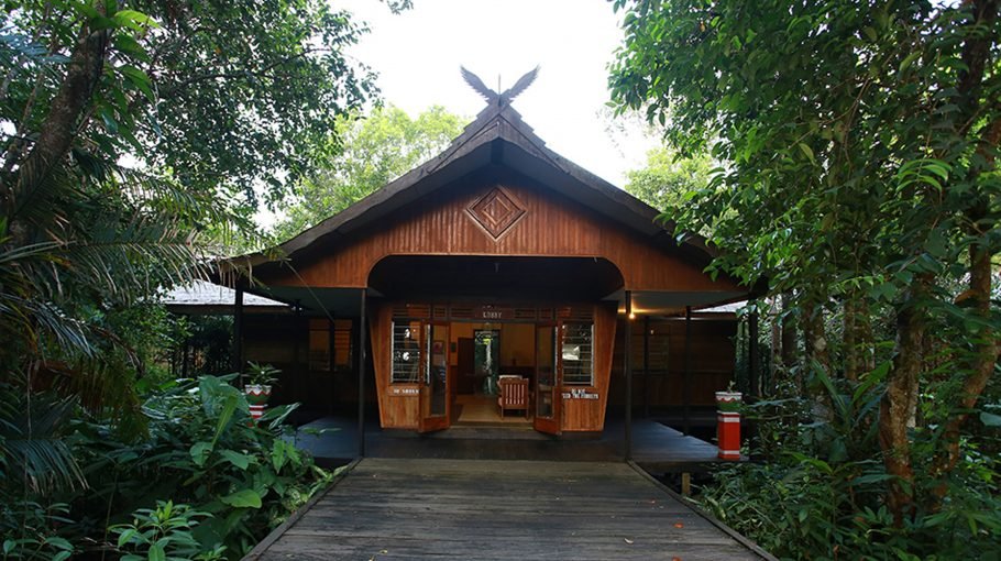 Rimba lodge