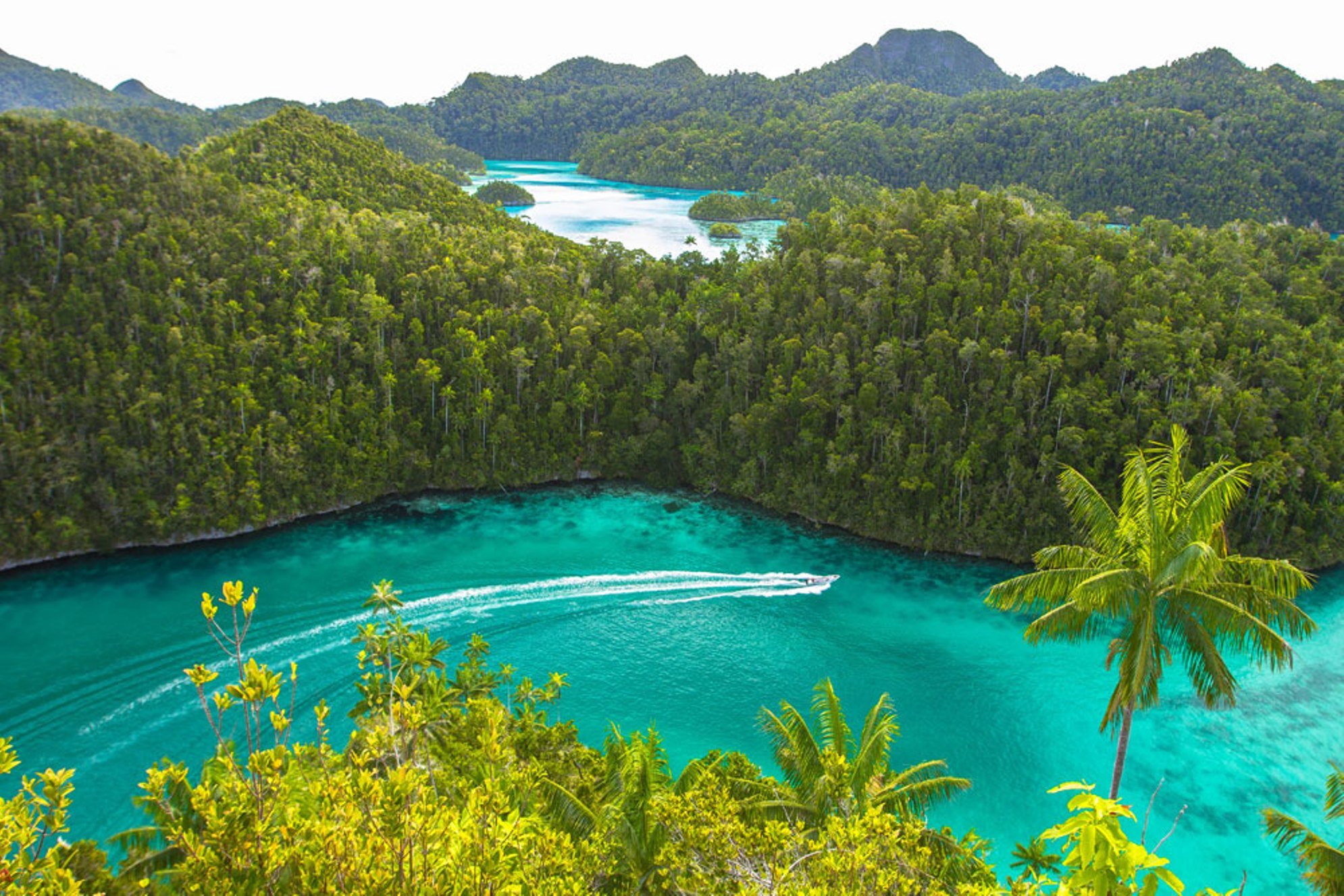 10 dagen Cruise Jewels of Raja Ampat