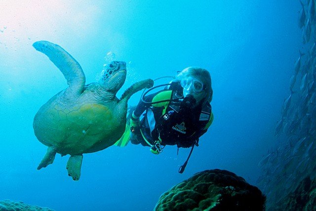 Online bestellen: Bouwsteen 4 dagen Gili Trawangan vanaf Bali