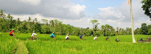 mountain bike bali