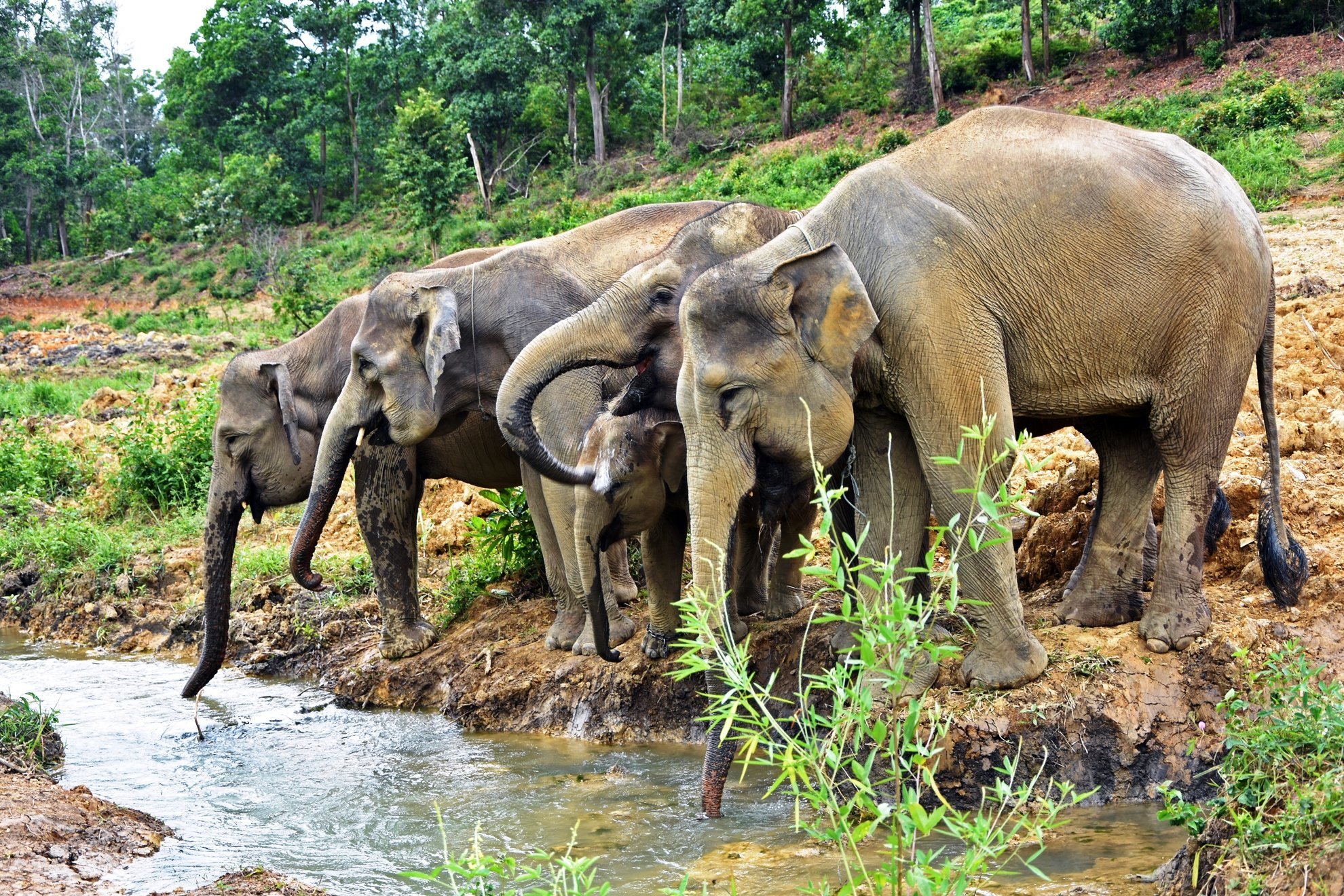 Bouwsteen 15 dagen avontuurlijk Noord-West Sumatra