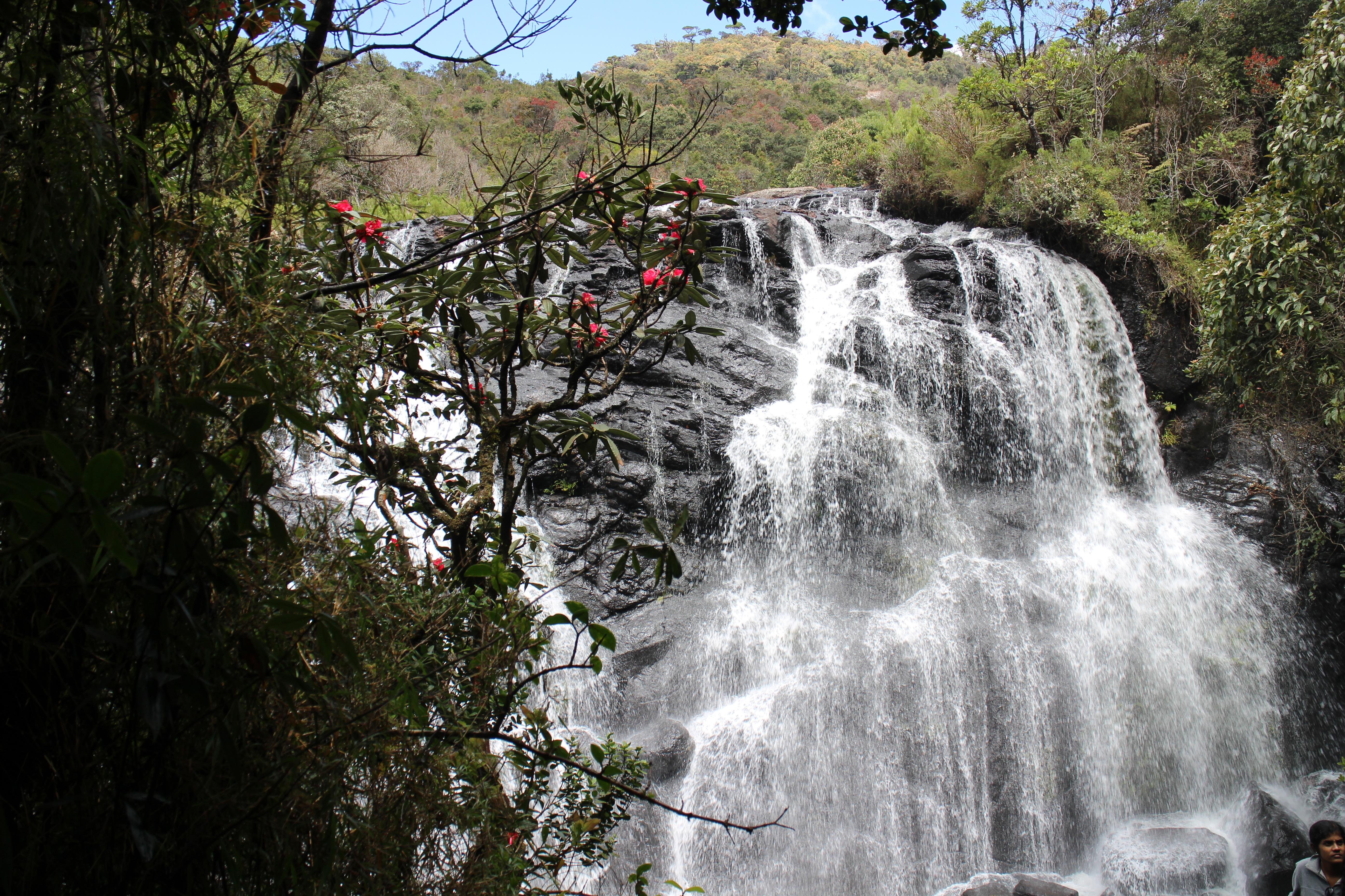 Waterval Horton's Plains