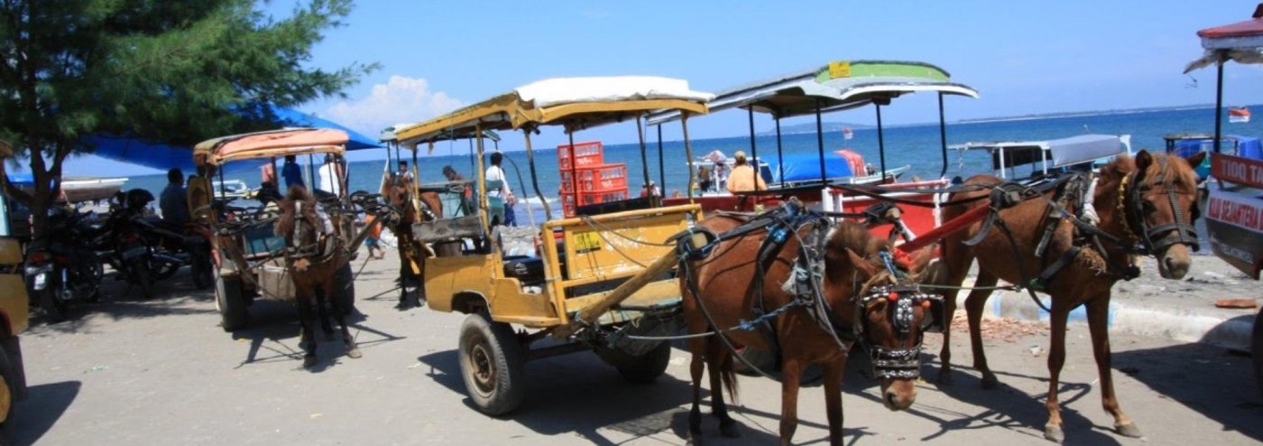 Lombok Cidomo Gili Trawangan