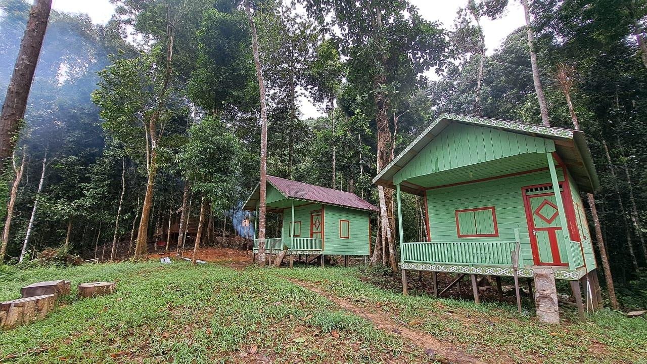 Jungle lodge Merasa 